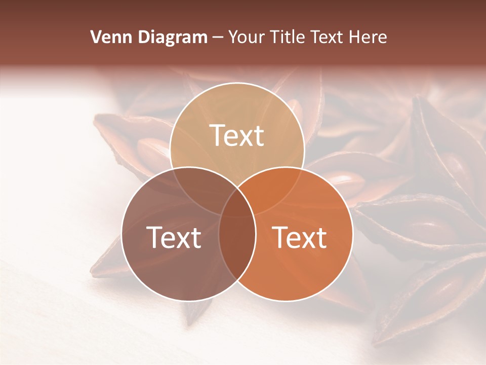 Seed Licorice Savory PowerPoint Template