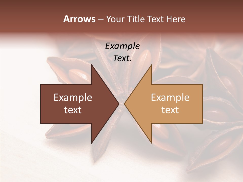 Seed Licorice Savory PowerPoint Template