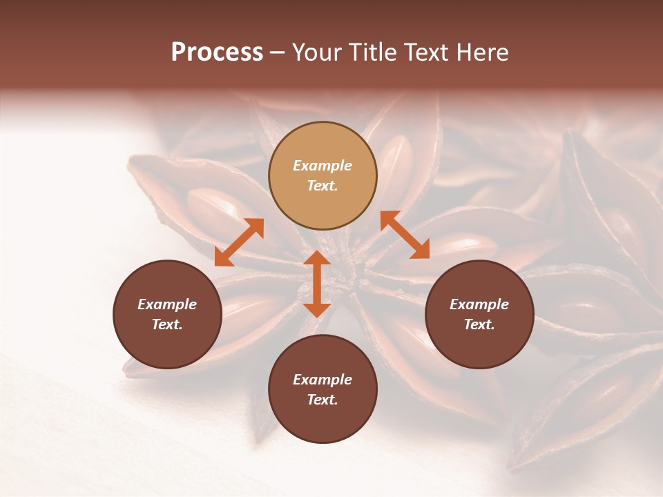 Seed Licorice Savory PowerPoint Template