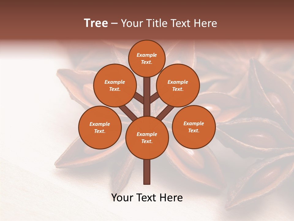 Seed Licorice Savory PowerPoint Template