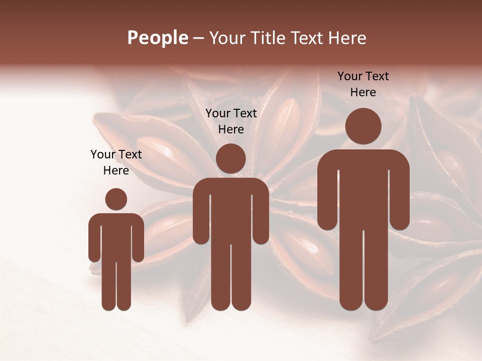 Seed Licorice Savory PowerPoint Template