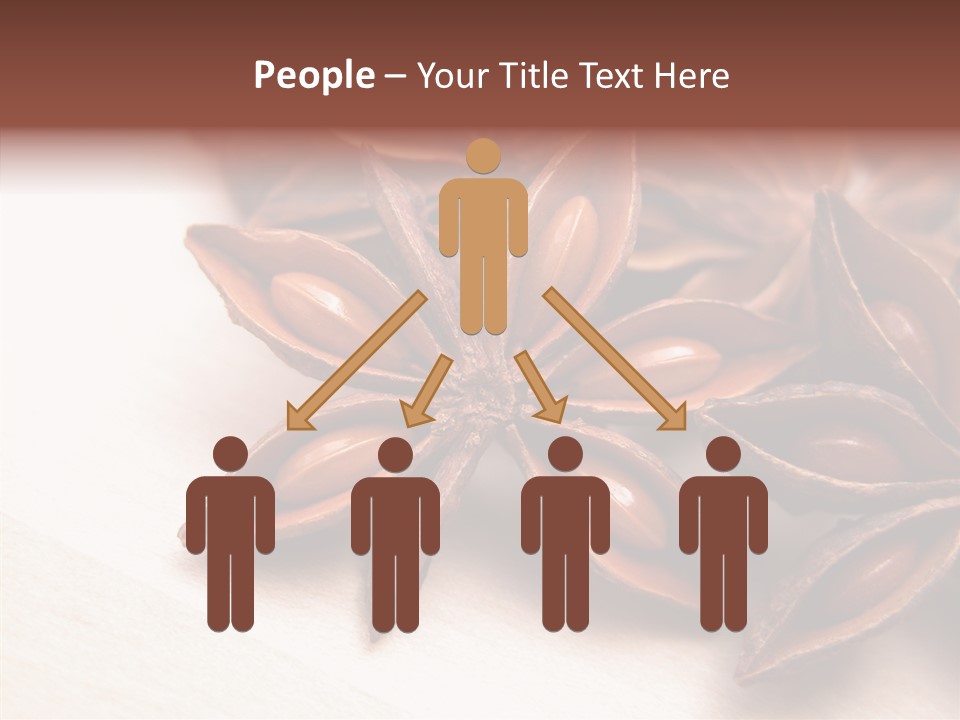 Seed Licorice Savory PowerPoint Template