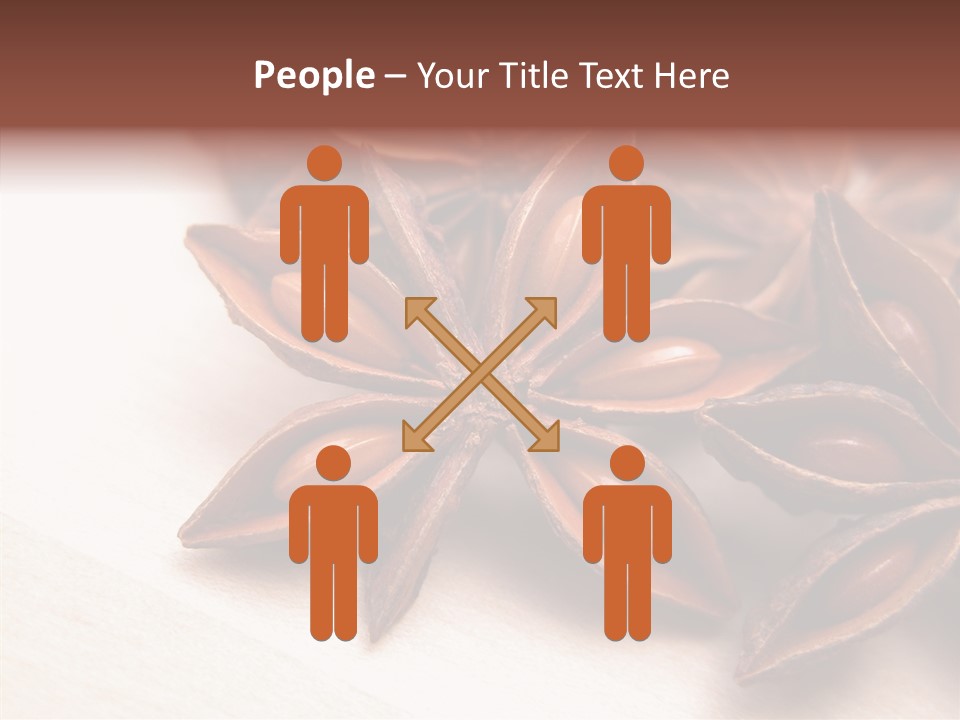 Seed Licorice Savory PowerPoint Template