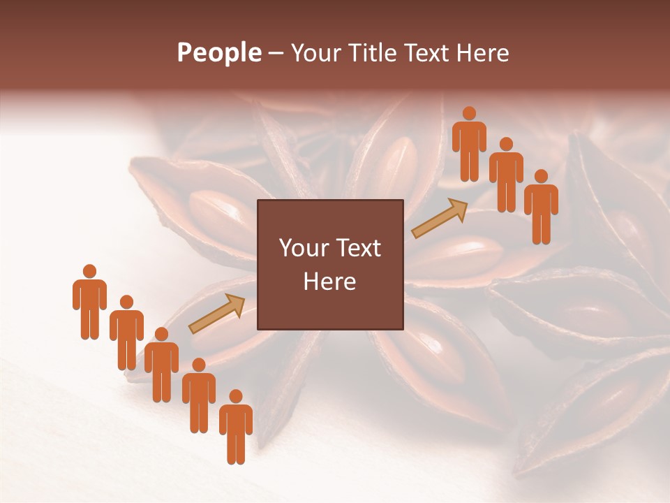 Seed Licorice Savory PowerPoint Template