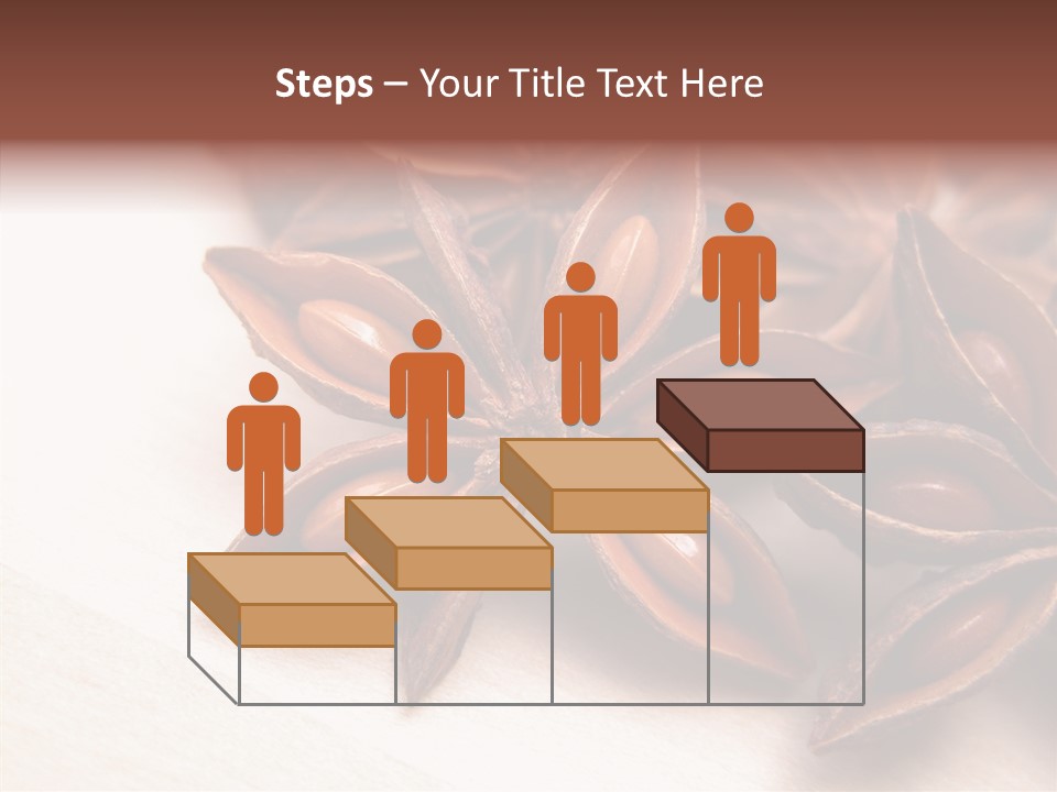 Seed Licorice Savory PowerPoint Template