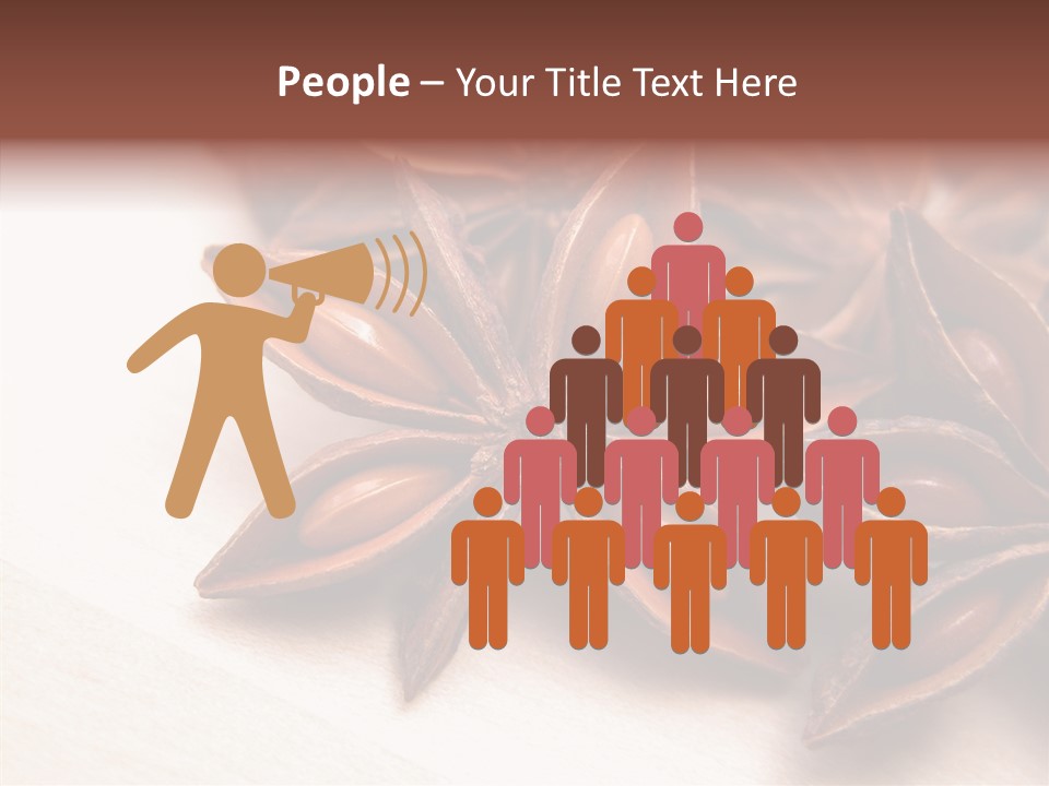 Seed Licorice Savory PowerPoint Template