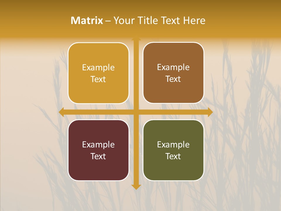 Background Sunset Savanna PowerPoint Template