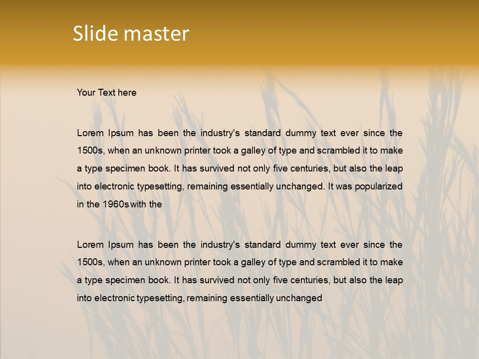 Background Sunset Savanna PowerPoint Template