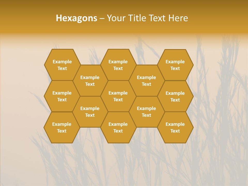 Background Sunset Savanna PowerPoint Template