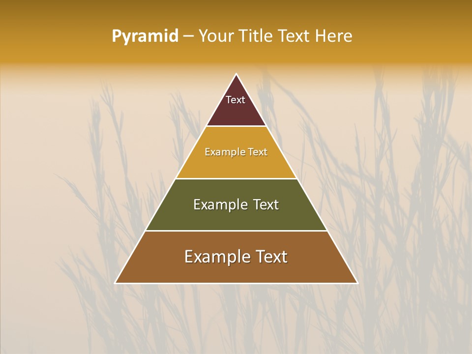 Background Sunset Savanna PowerPoint Template