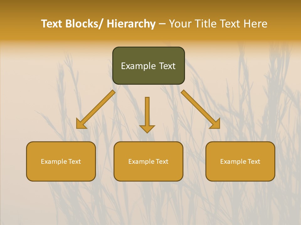 Background Sunset Savanna PowerPoint Template