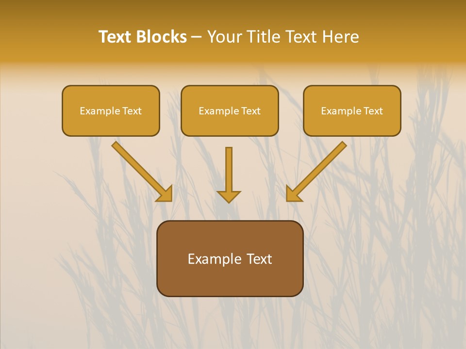 Background Sunset Savanna PowerPoint Template
