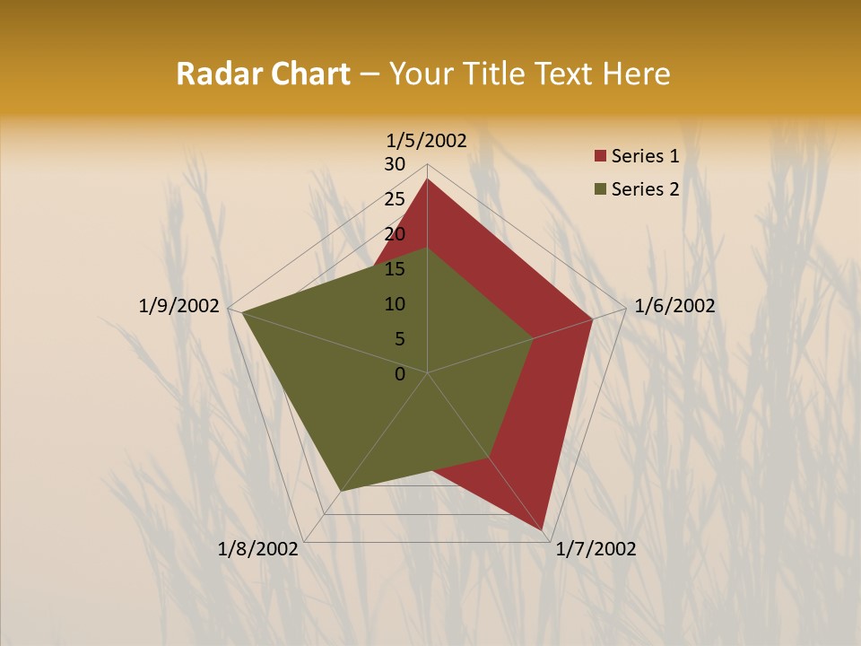 Background Sunset Savanna PowerPoint Template