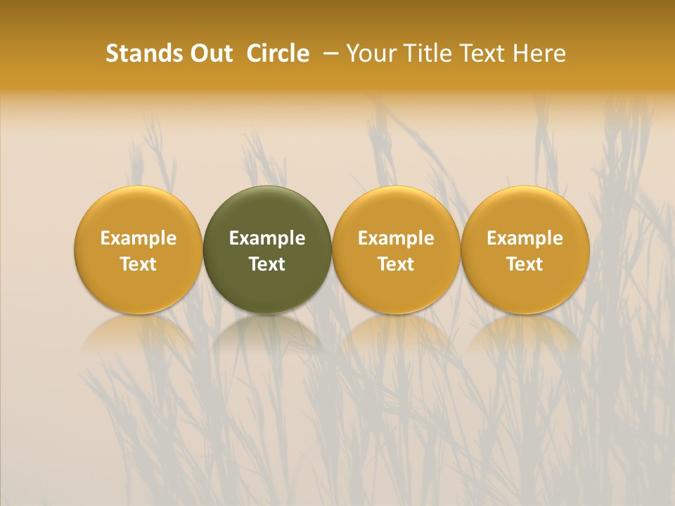 Background Sunset Savanna PowerPoint Template