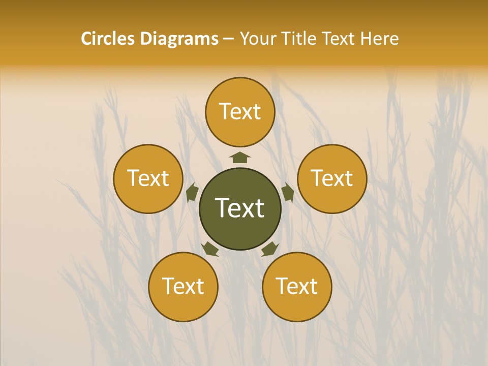 Background Sunset Savanna PowerPoint Template