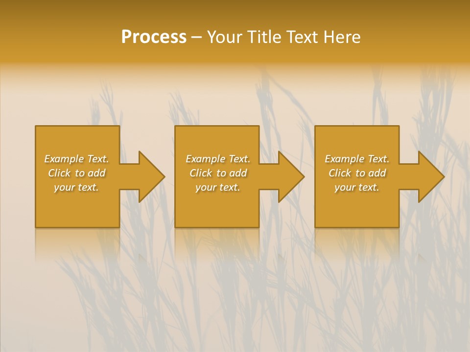 Background Sunset Savanna PowerPoint Template