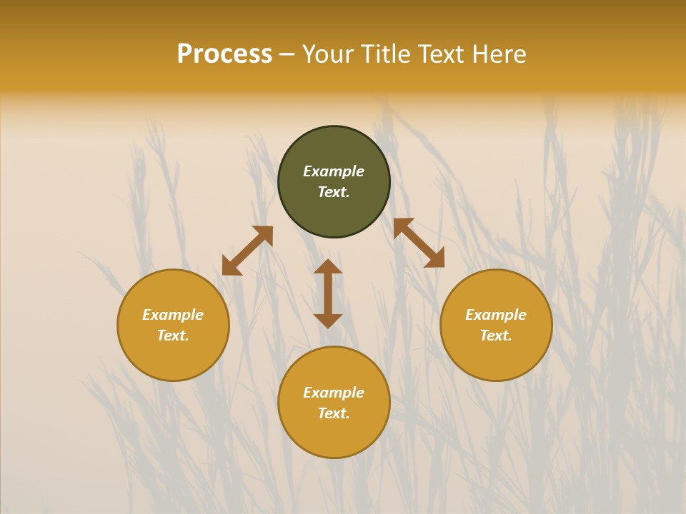 Background Sunset Savanna PowerPoint Template