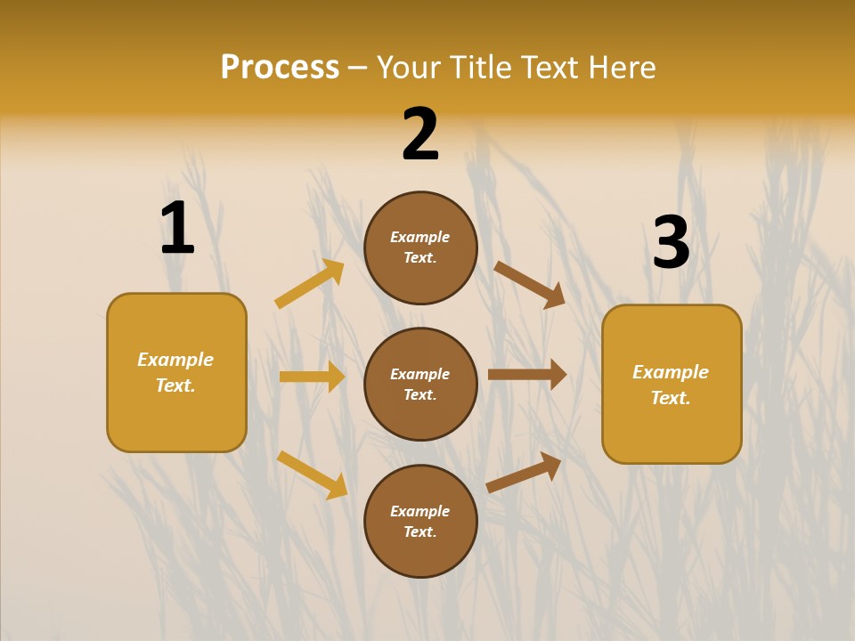 Background Sunset Savanna PowerPoint Template