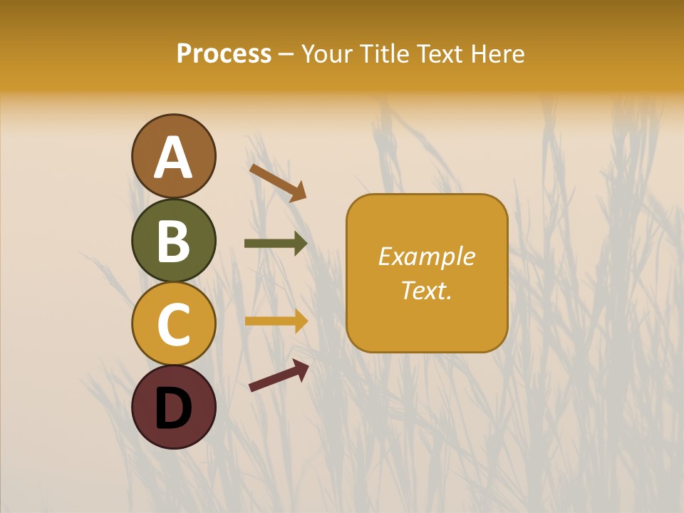 Background Sunset Savanna PowerPoint Template