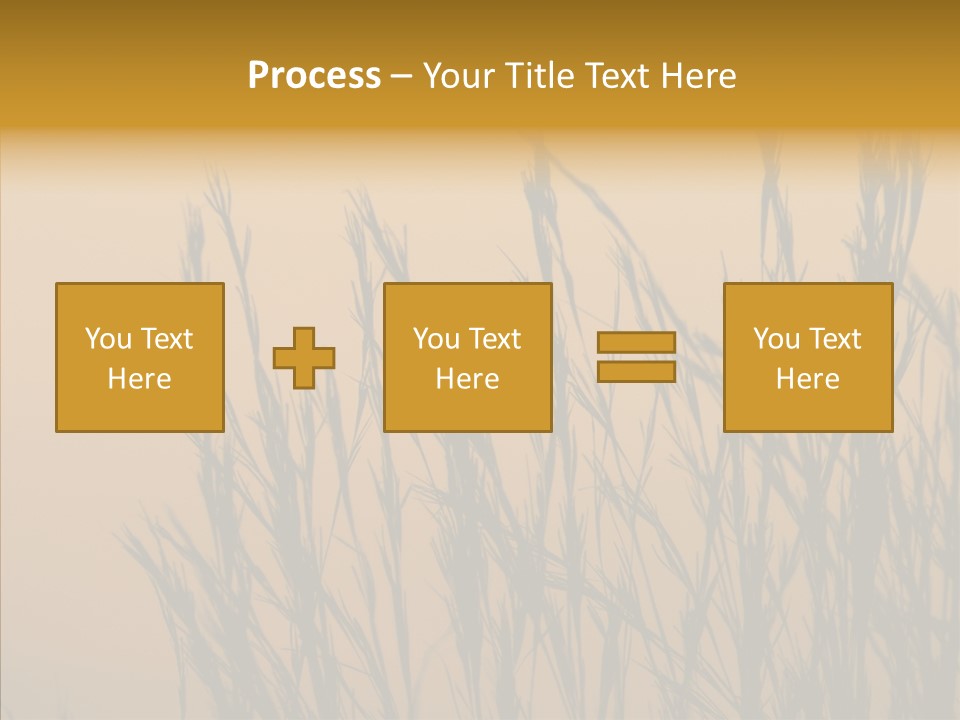 Background Sunset Savanna PowerPoint Template