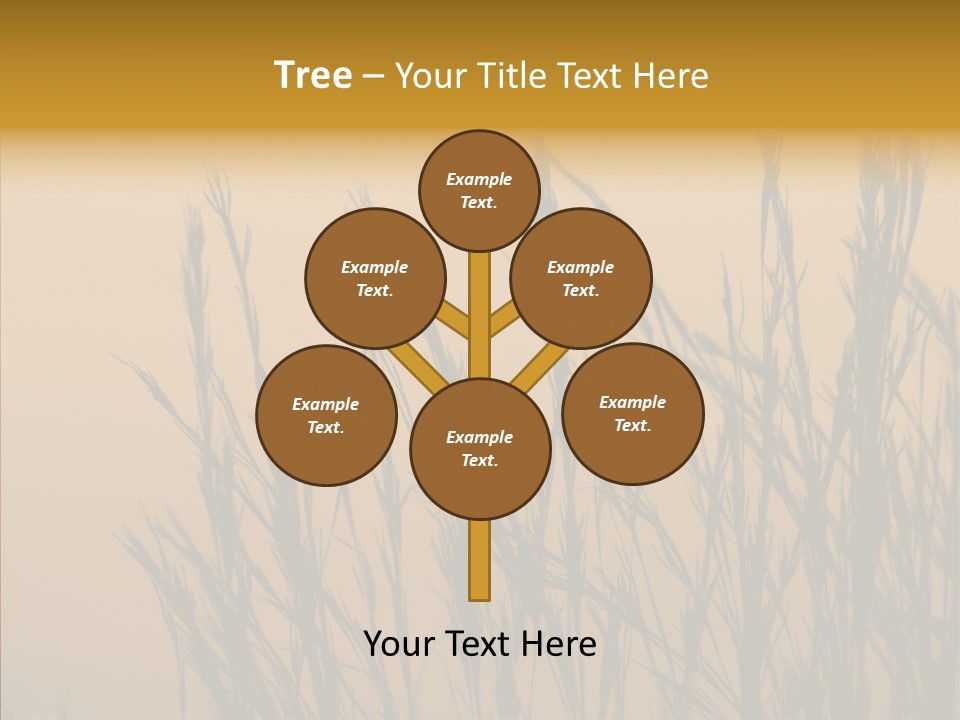 Background Sunset Savanna PowerPoint Template