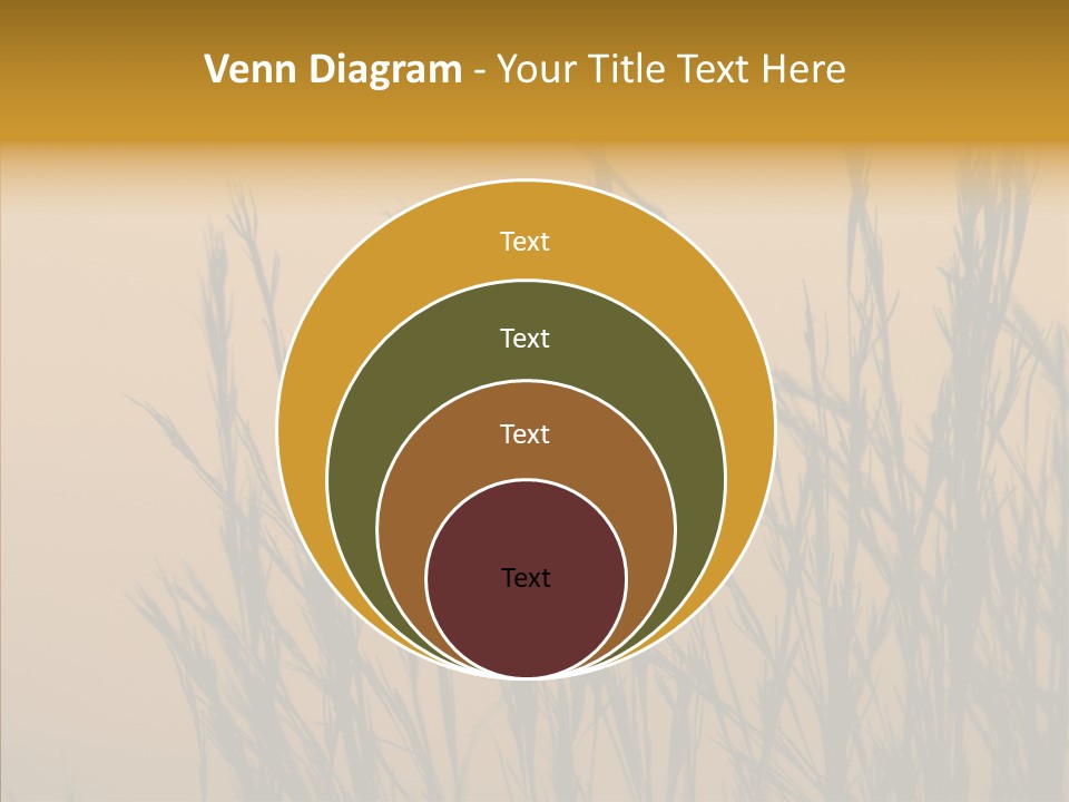 Background Sunset Savanna PowerPoint Template