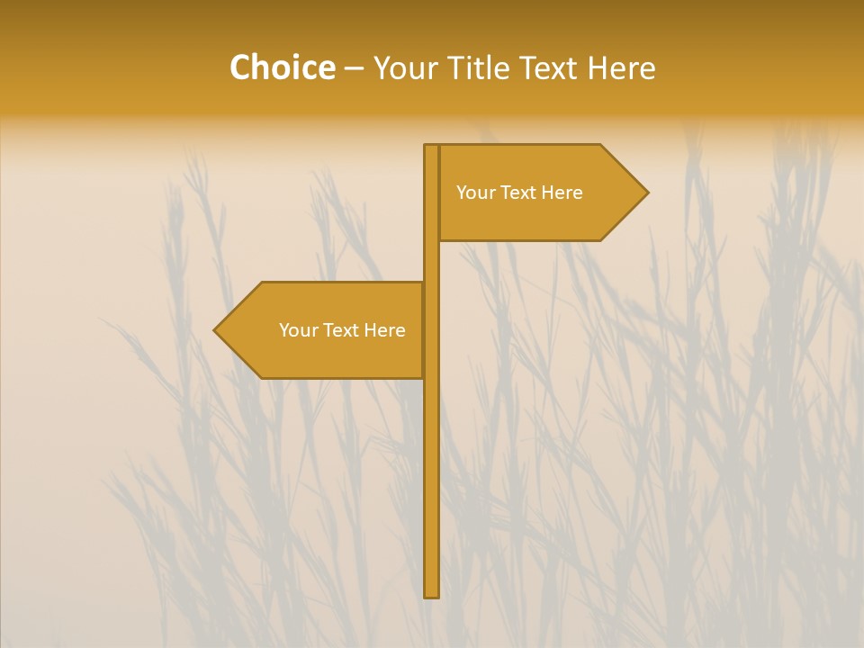 Background Sunset Savanna PowerPoint Template