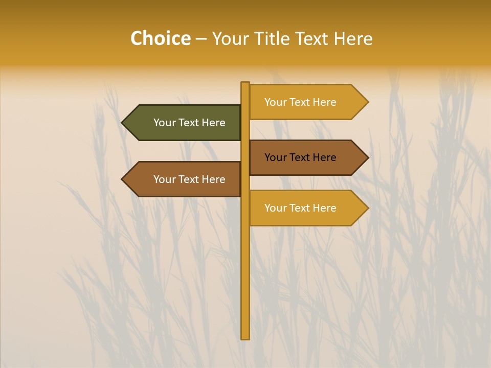 Background Sunset Savanna PowerPoint Template