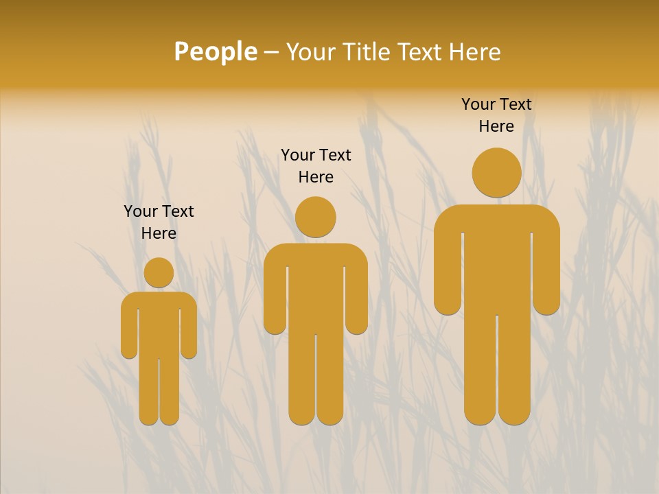 Background Sunset Savanna PowerPoint Template