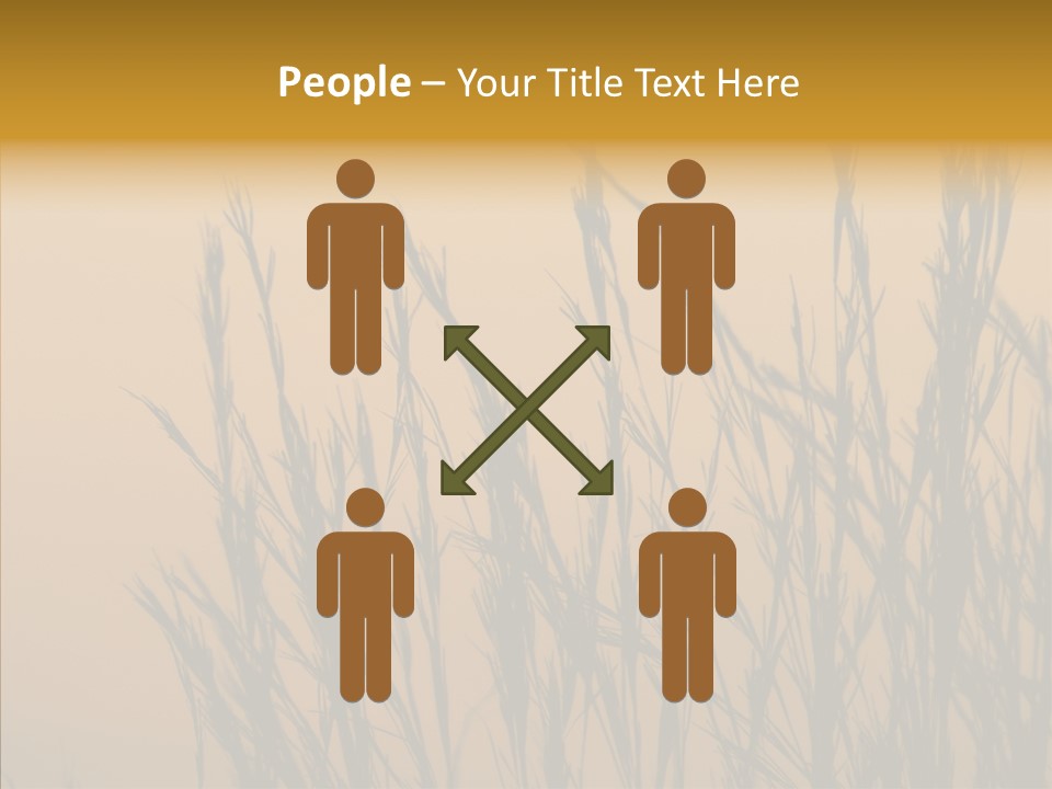 Background Sunset Savanna PowerPoint Template