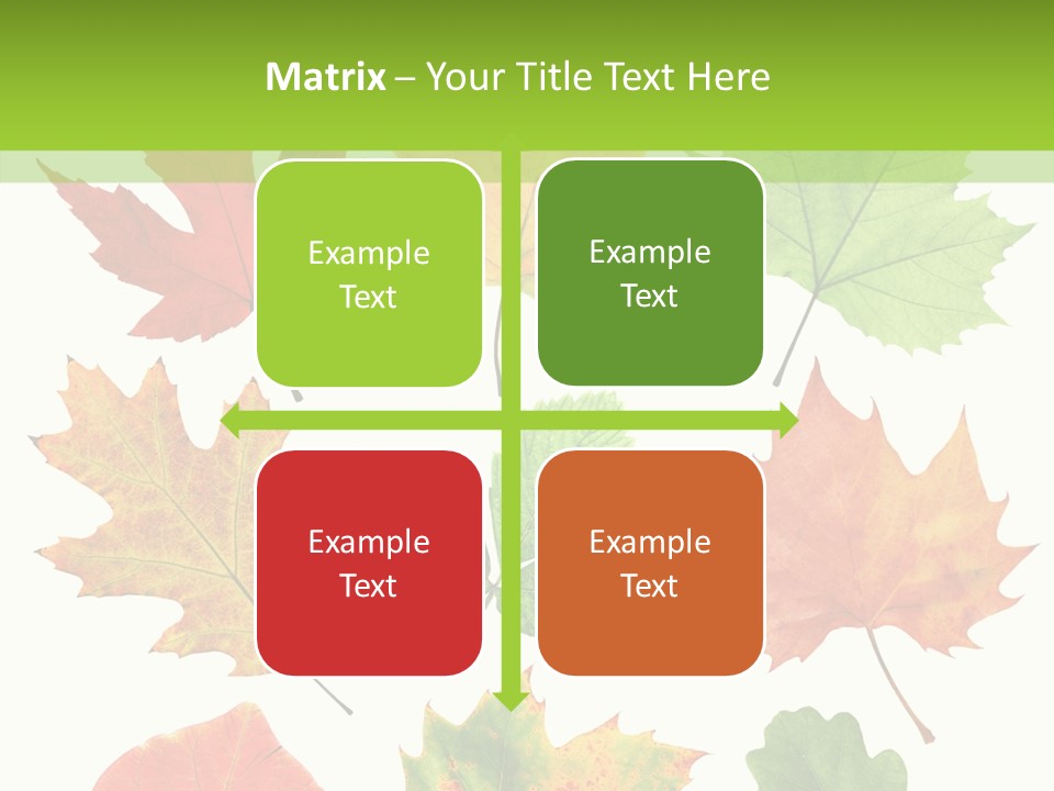 Flora Isolated Summer PowerPoint Template