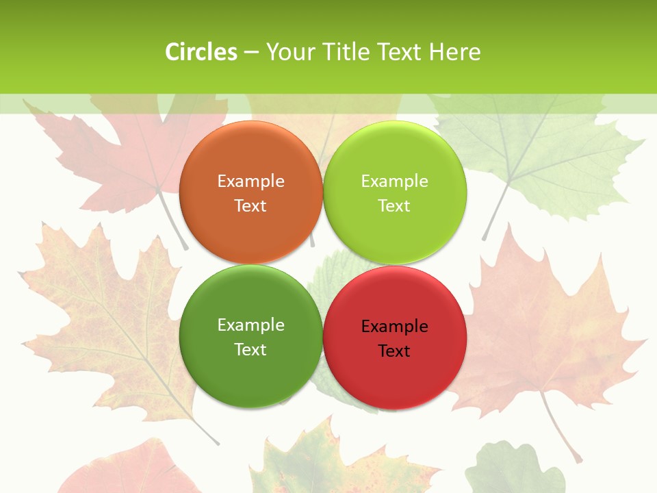 Flora Isolated Summer PowerPoint Template