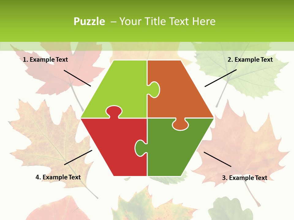 Flora Isolated Summer PowerPoint Template