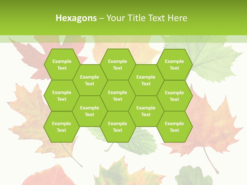 Flora Isolated Summer PowerPoint Template