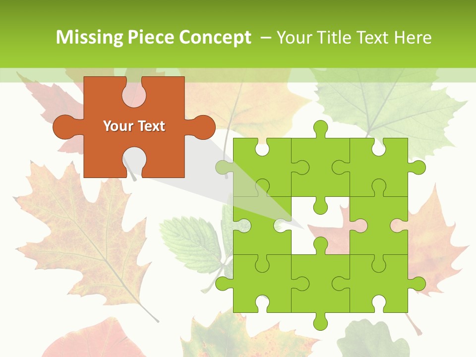 Flora Isolated Summer PowerPoint Template