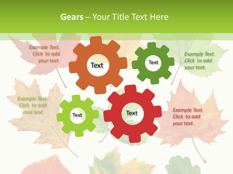 Flora Isolated Summer PowerPoint Template