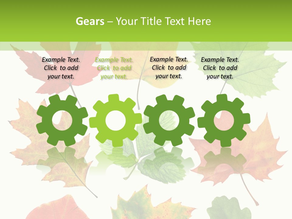 Flora Isolated Summer PowerPoint Template