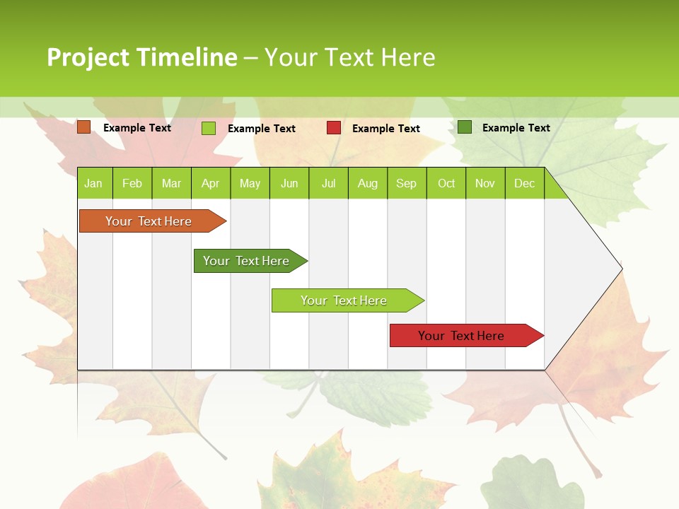 Flora Isolated Summer PowerPoint Template