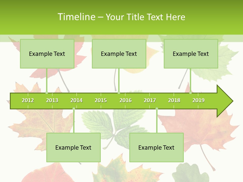 Flora Isolated Summer PowerPoint Template