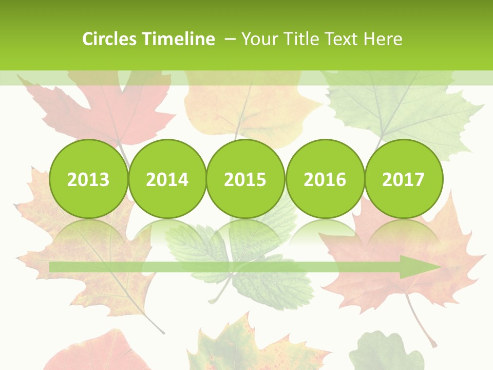 Flora Isolated Summer PowerPoint Template