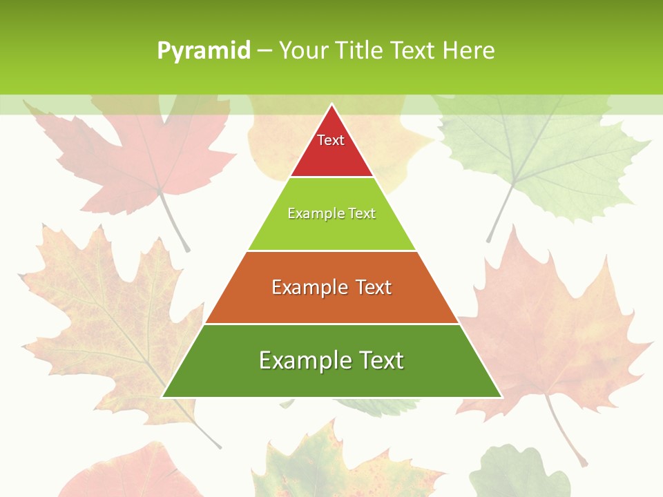 Flora Isolated Summer PowerPoint Template