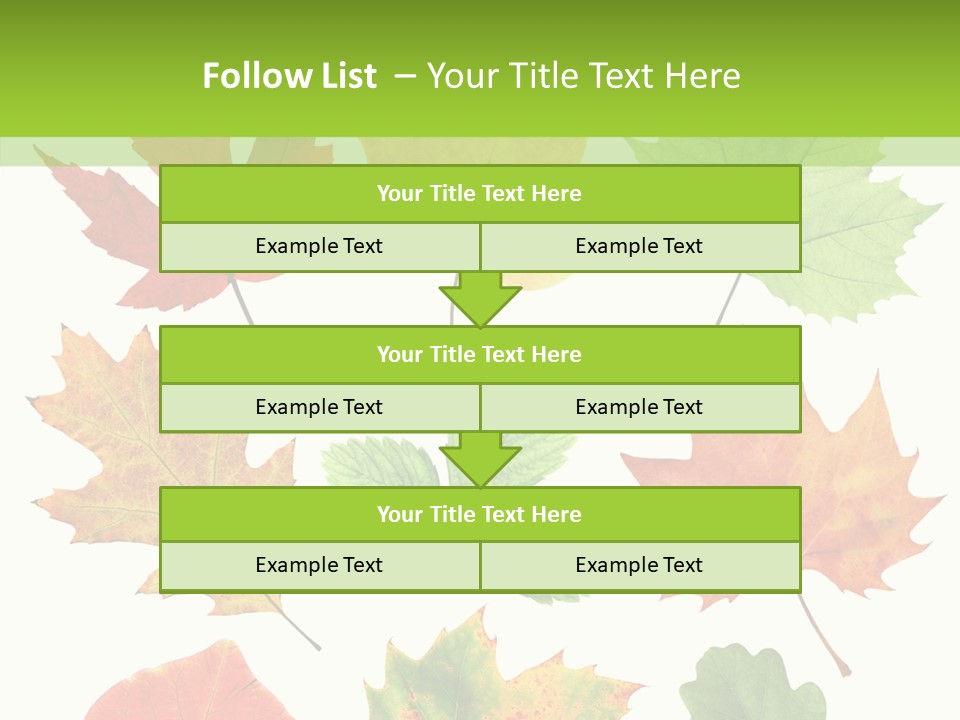 Flora Isolated Summer PowerPoint Template