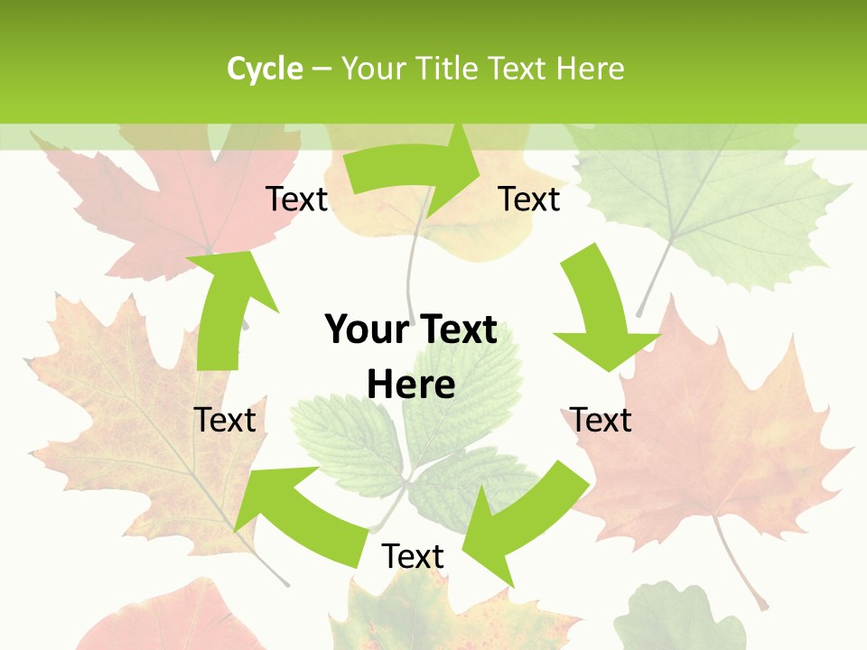 Flora Isolated Summer PowerPoint Template