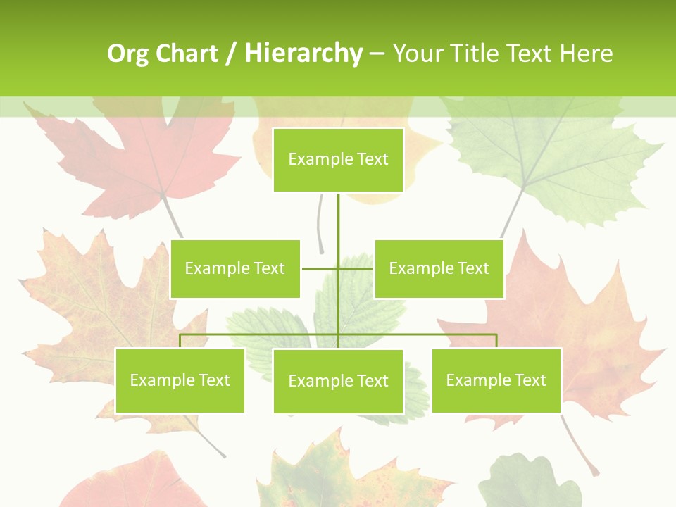 Flora Isolated Summer PowerPoint Template