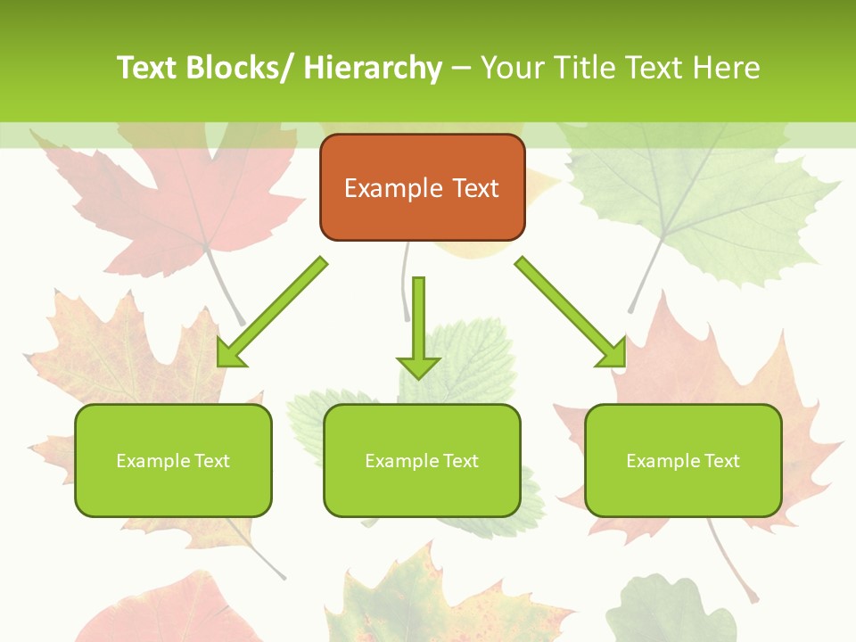 Flora Isolated Summer PowerPoint Template