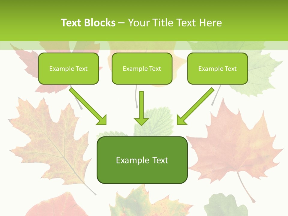 Flora Isolated Summer PowerPoint Template