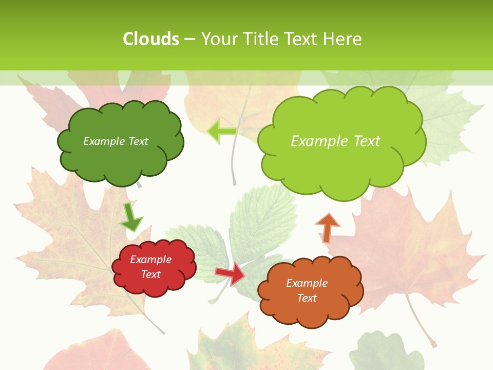 Flora Isolated Summer PowerPoint Template