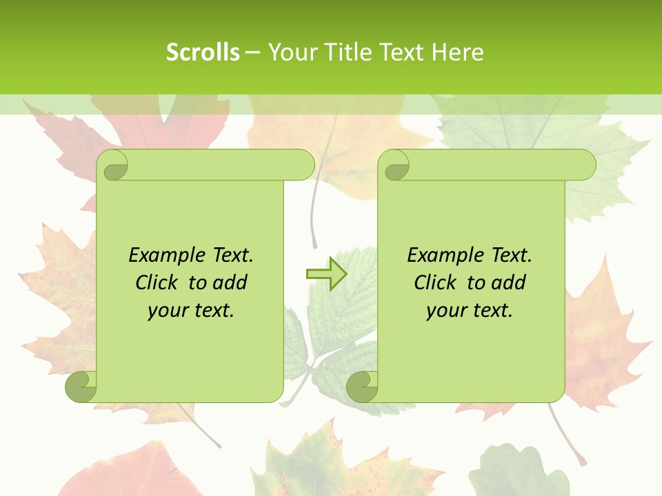 Flora Isolated Summer PowerPoint Template