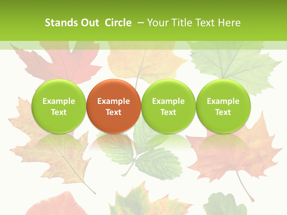 Flora Isolated Summer PowerPoint Template