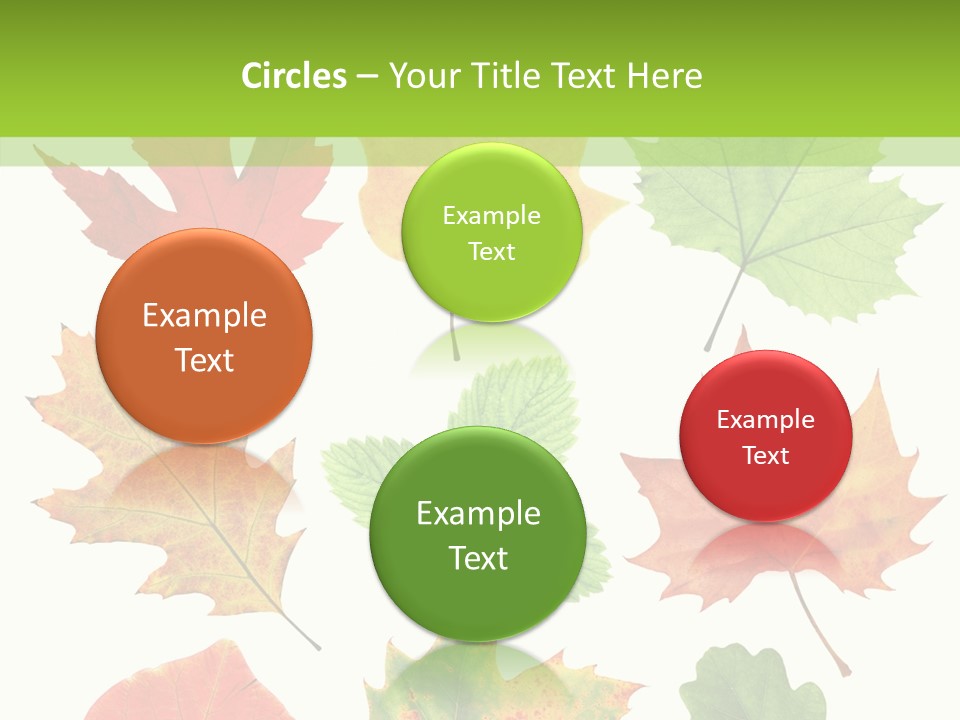 Flora Isolated Summer PowerPoint Template